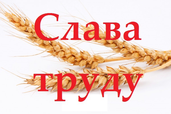 Модельный план. Тема недели «Слава труду».